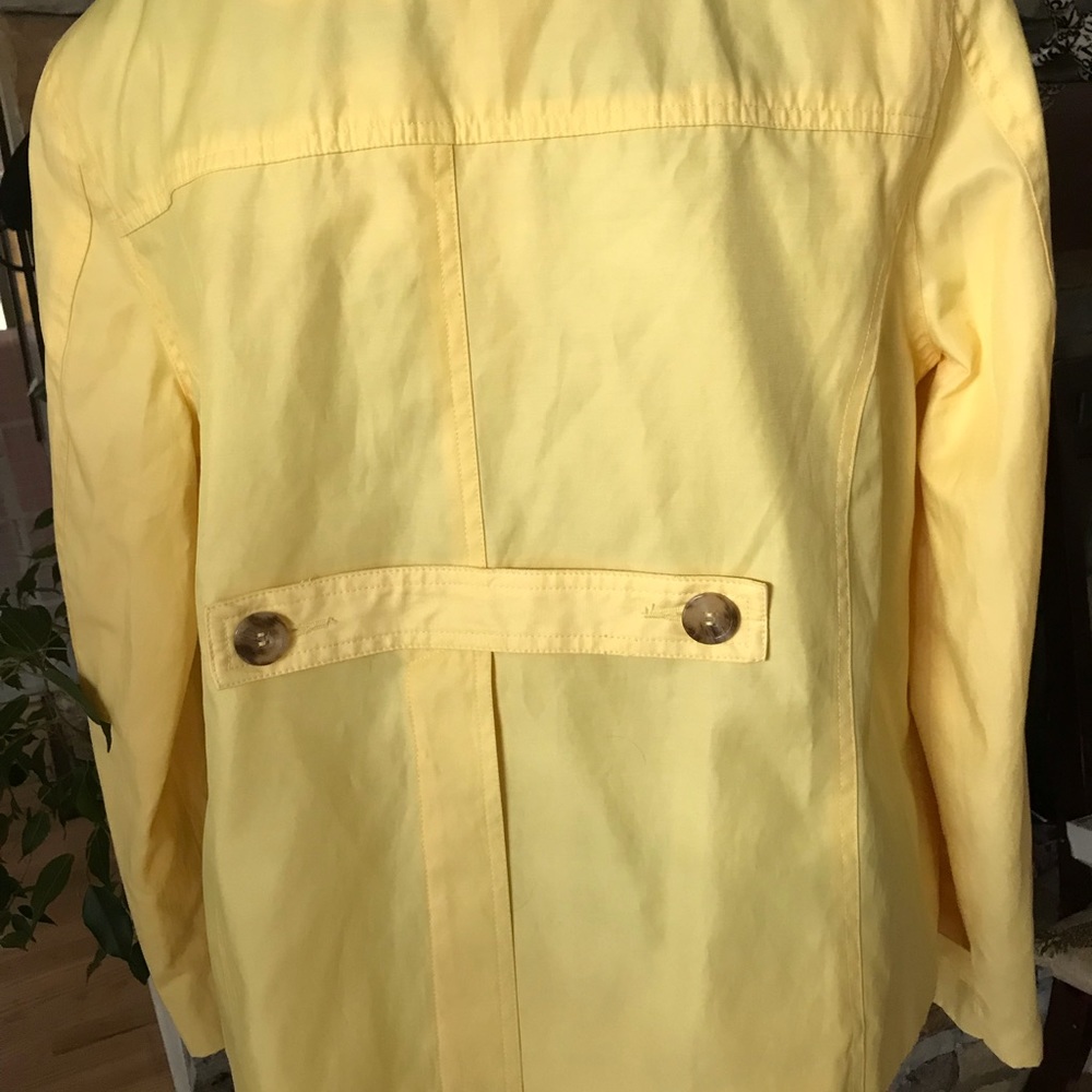 Yellow jacket - Picture 2 of 8